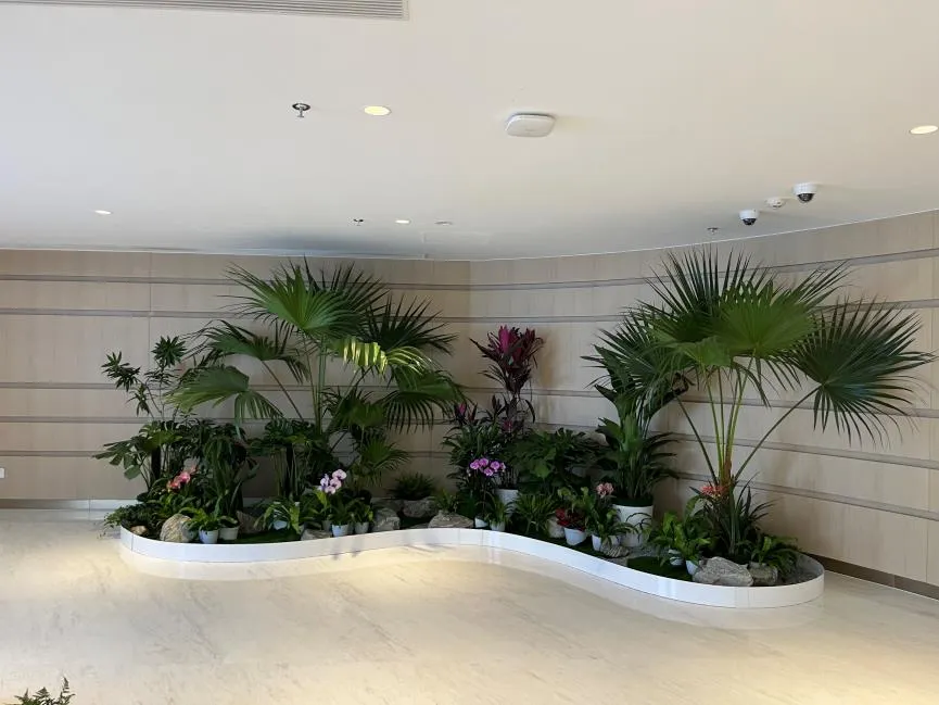 宁波杭州湾花卉租赁方案